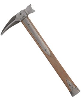 Gisbert à bec de corbeau GN