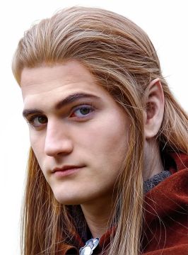 Oreilles d'elfe