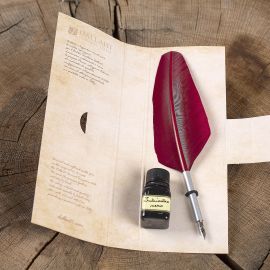 Ensemble de calligraphie avec plume rouge et encre