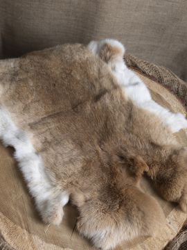 Fourrure de lapin grise