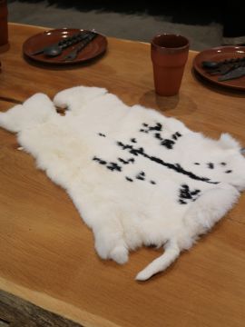 Peau de lapin avec taches