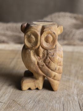 Hibou sonore