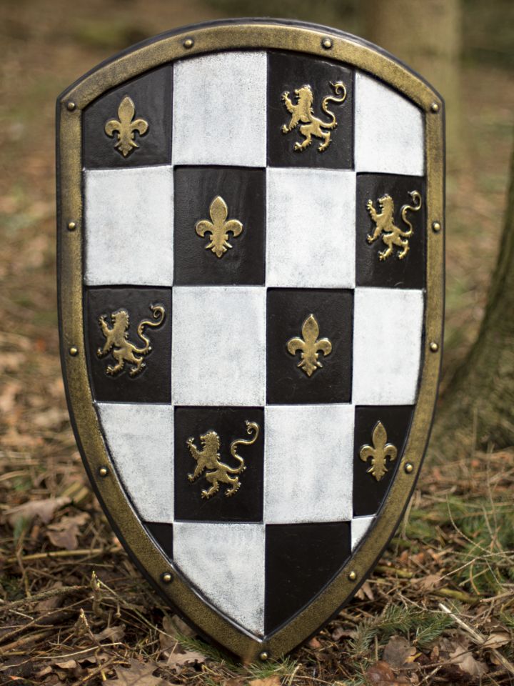 Shield knight. Средневековый щит. Щит рыцаря. Средневековый Рыцарский щит. Щиты рыцарей средневековья.