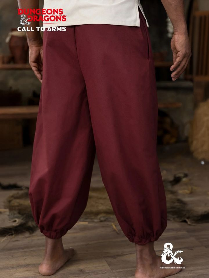 Pantalon de moine bordeaux 2