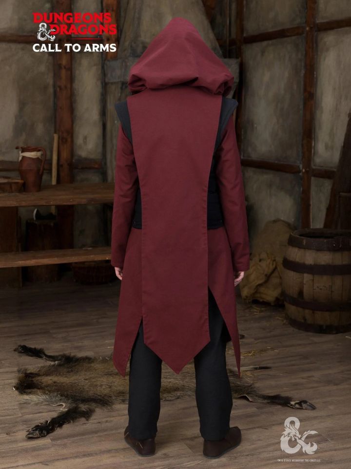Tabard Paladin bordeaux 2