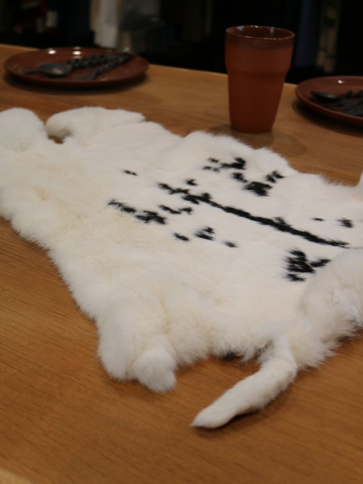 Peau de lapin avec taches 2