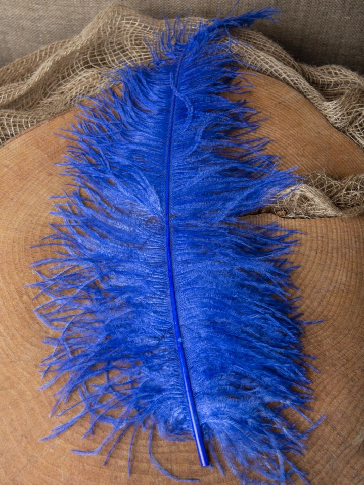 Plume d'autruche bleu 2