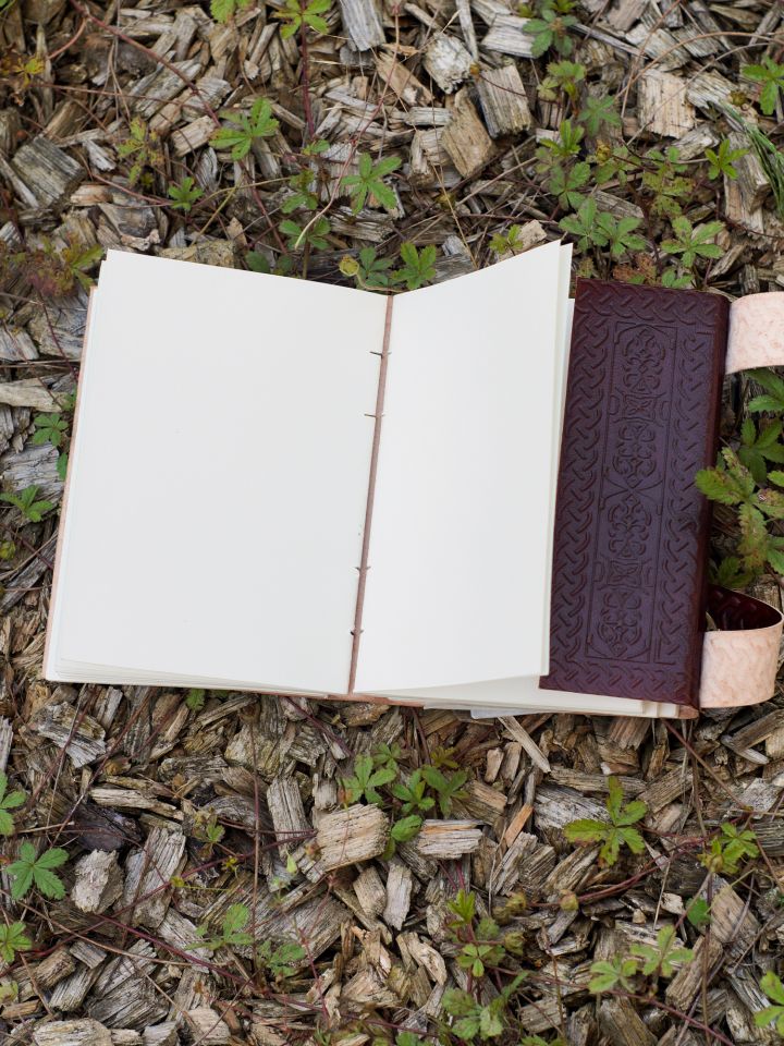 Cahier en cuir Fleur de Lys avec fermeture à crochet 3