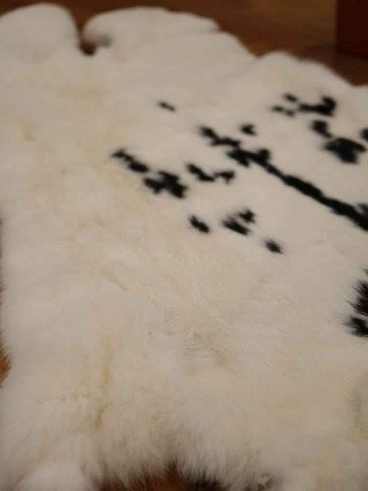 Peau de lapin avec taches 3