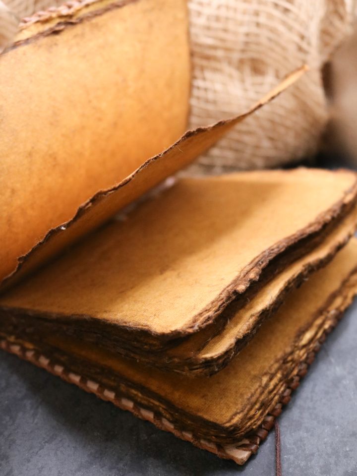 Livre en cuir ancien motif boussole 4