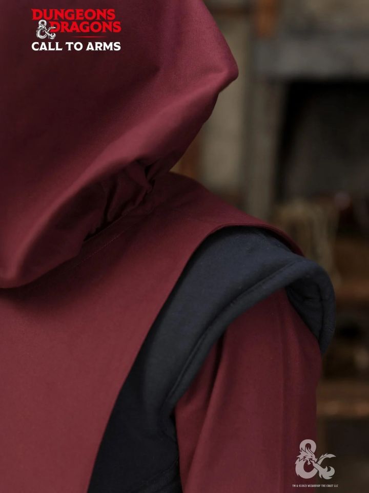 Tabard Paladin bordeaux 4