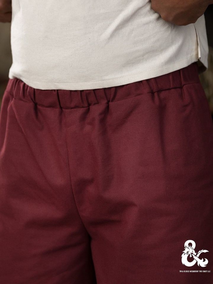 Pantalon de moine bordeaux 5