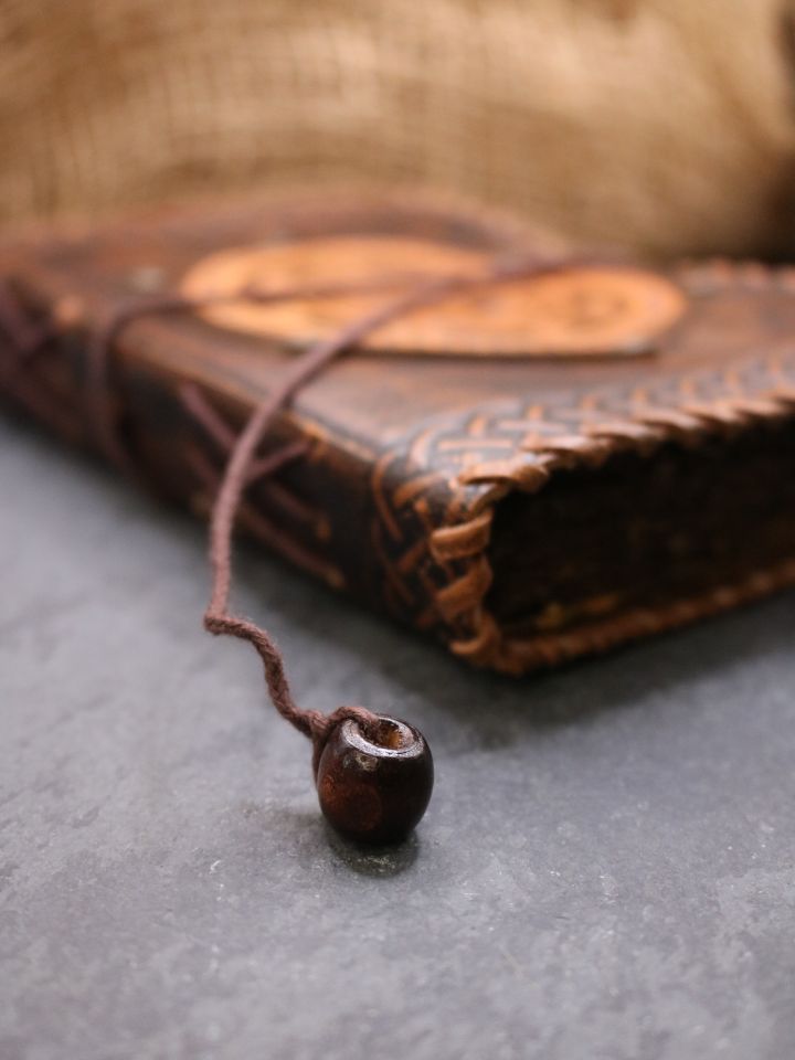 Livre en cuir ancien motif boussole 5