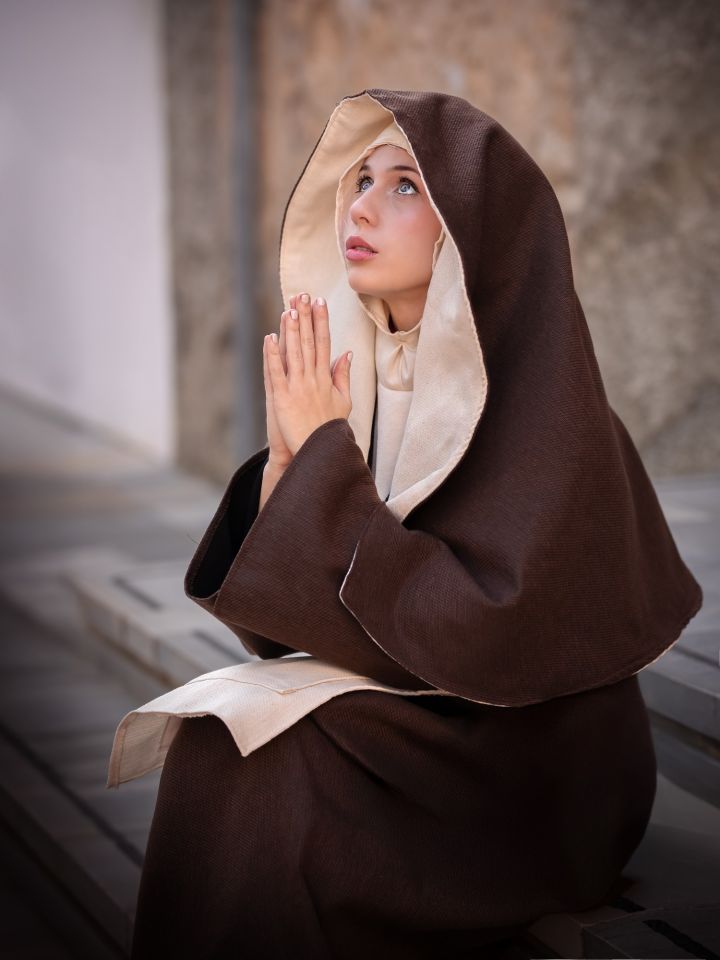 Costume d'oie brun 5