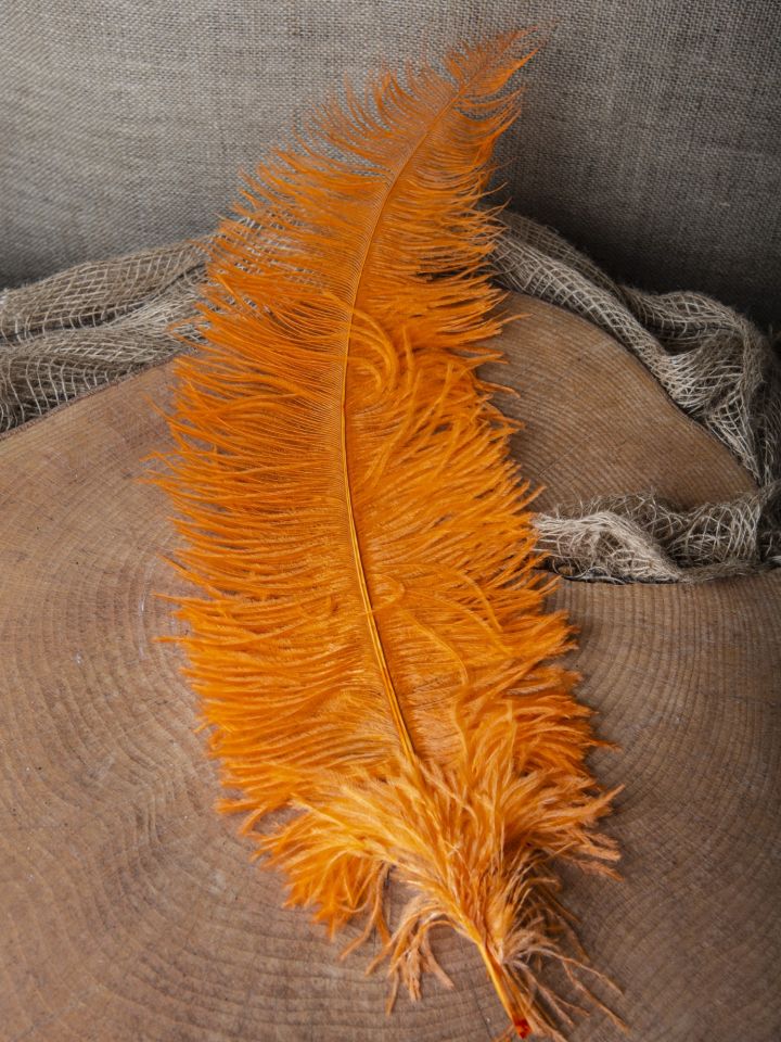 Plume d'autruche orange 5