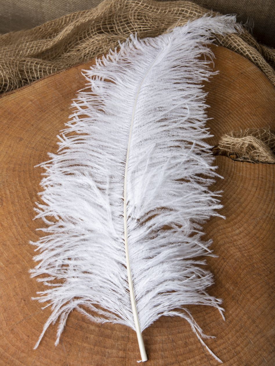 Plume d autruche La boutique m di vale